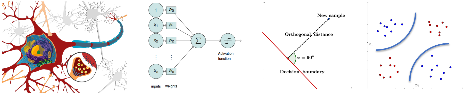 Perceptron Overview